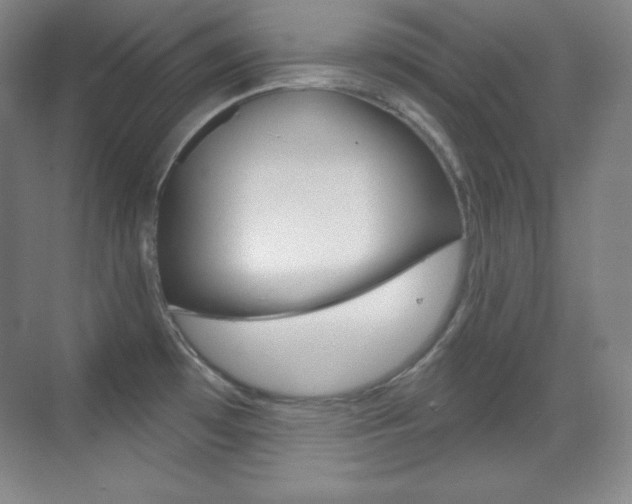 X0000070241481200606020920