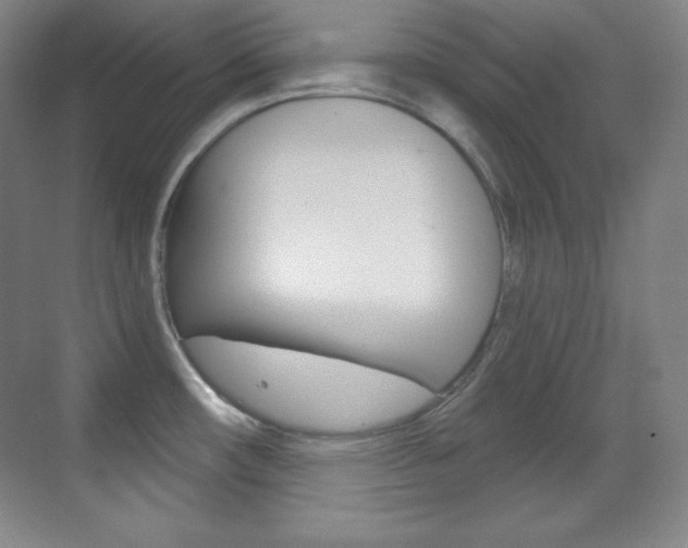 X0000070241482200606020920