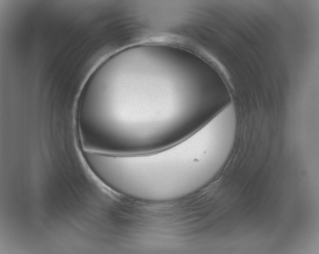 X0000070241483200606020920