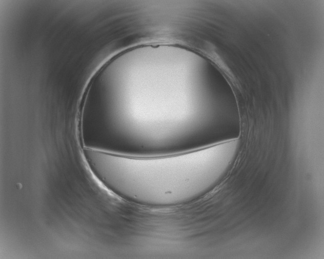 X0000070241484200606020920