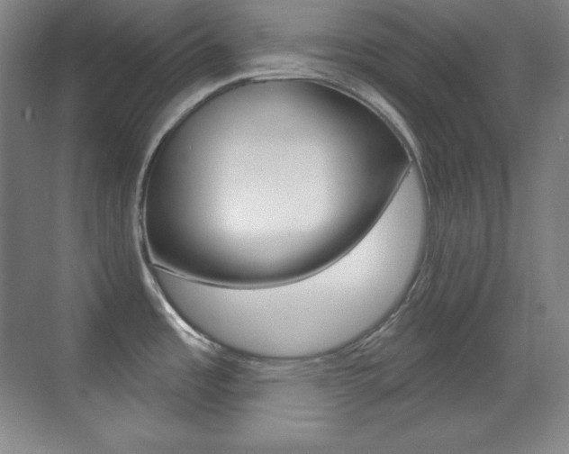 X0000070241485200606020920