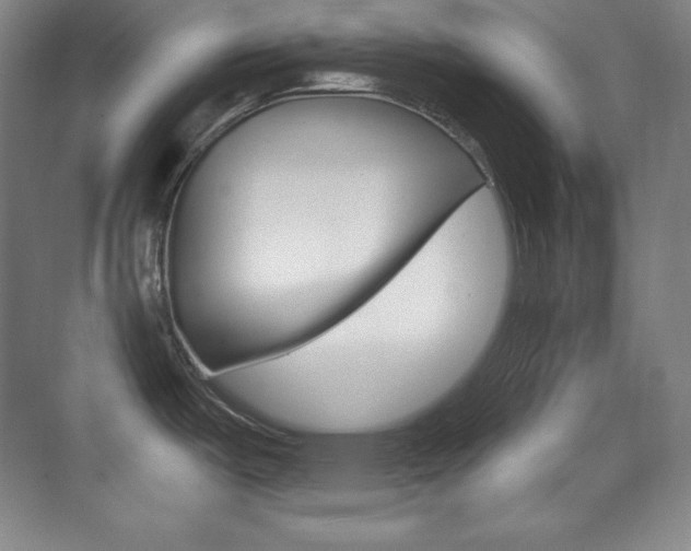 X0000070241487200606020920