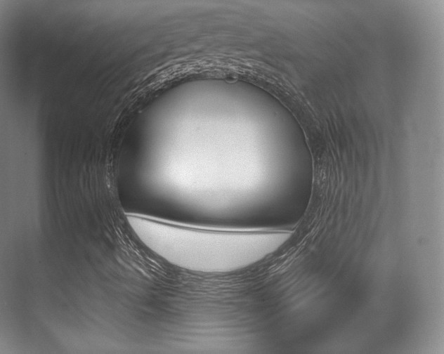X0000070241490200606020919