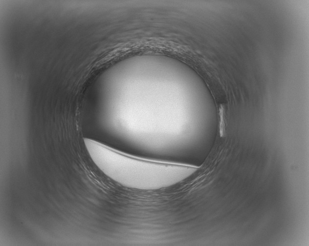 X0000070241491200606020919