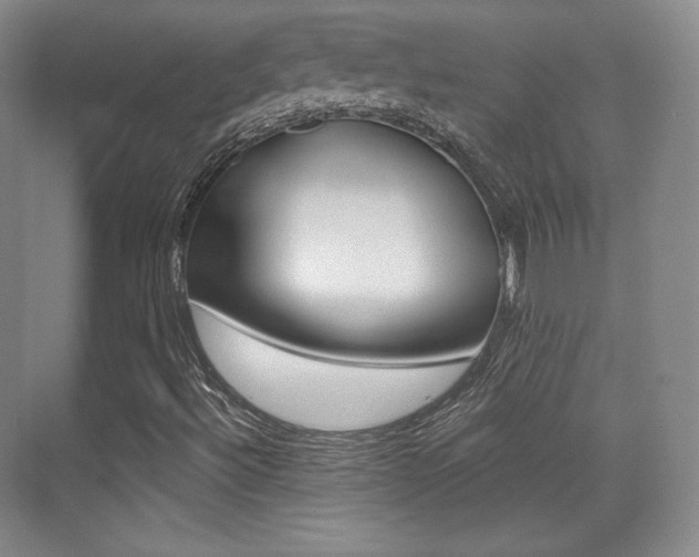 X0000070241492200606020919