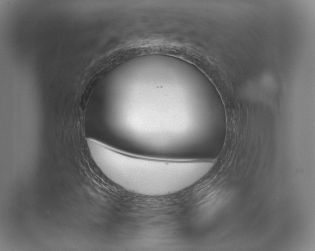 X0000070241493200606020919