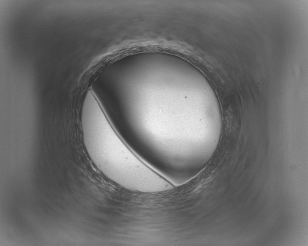 X0000070241494200606020919