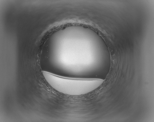 X0000070241495200606020919