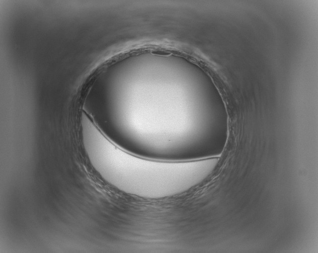 X0000070241496200606020919