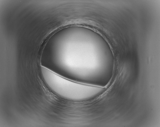 X0000070241497200606020919