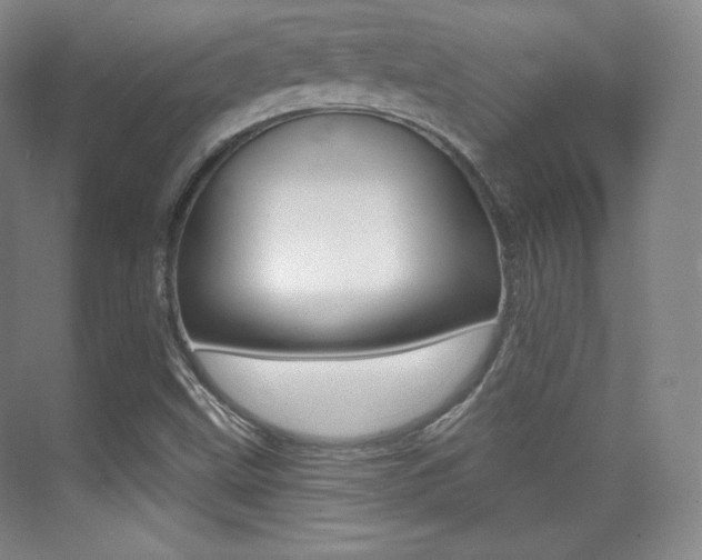 X0000070241499200606020919