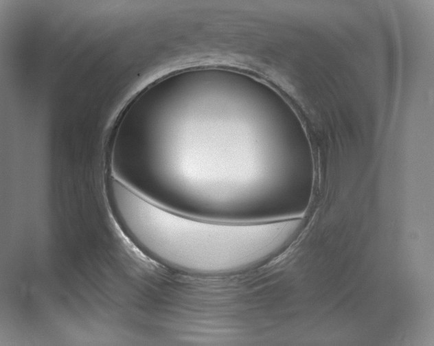X0000070241500200606020919