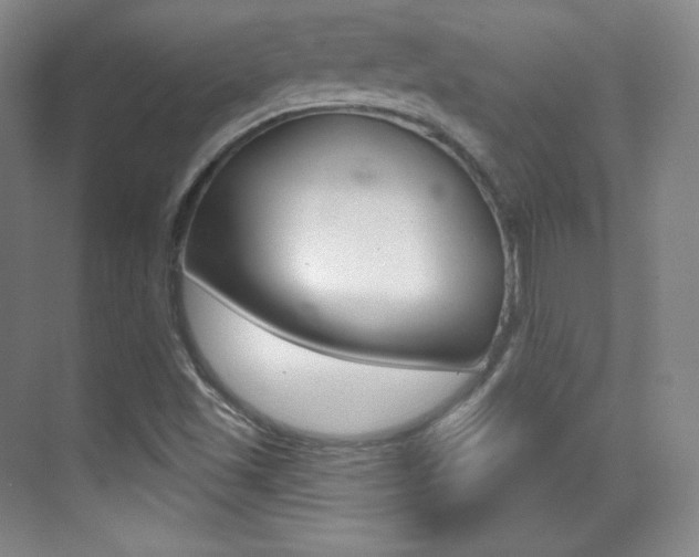 X0000070241501200606020919