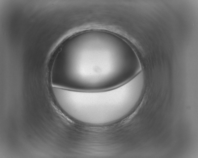 X0000070241502200606020919