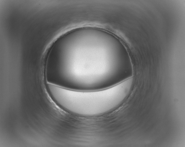 X0000070241504200606020919