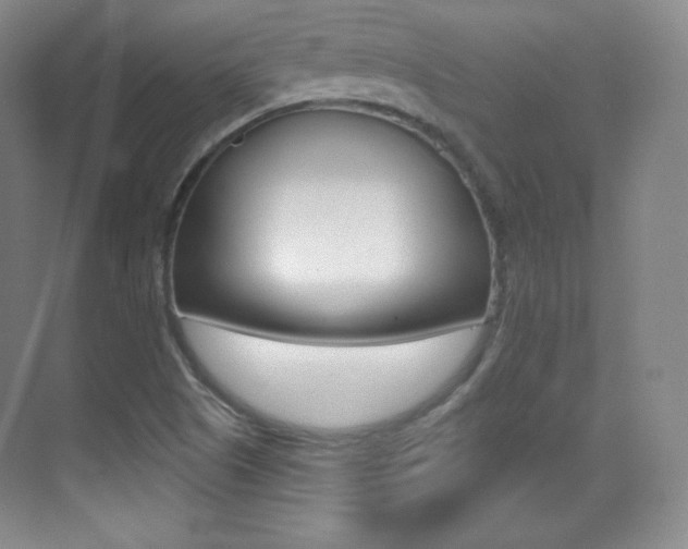 X0000070241505200606020919