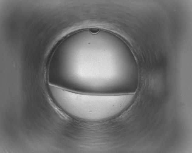 X0000070241507200606020919