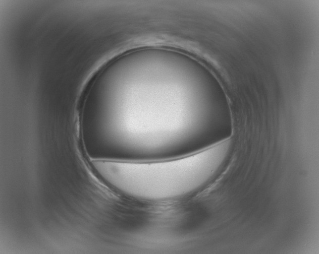 X0000070241509200606020919
