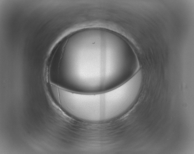 X0000070241510200606020919