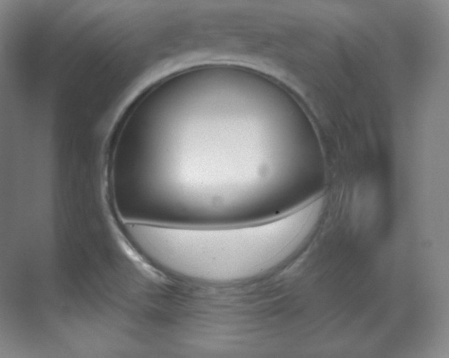 X0000070241511200606020919