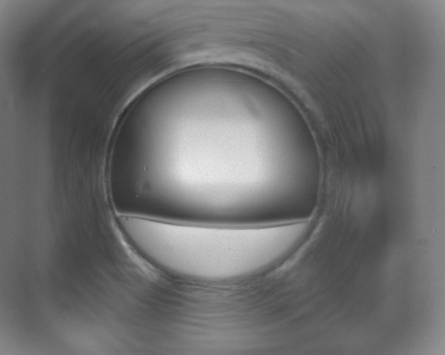 X0000070241513200606020919