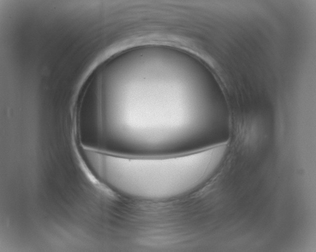 X0000070241515200606020919