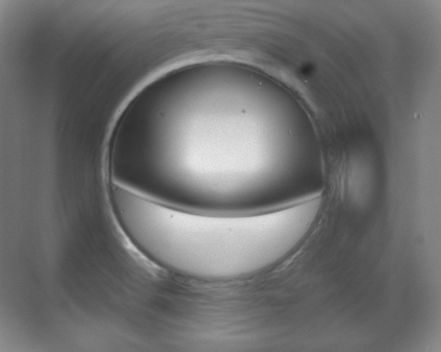 X0000070241516200606020919