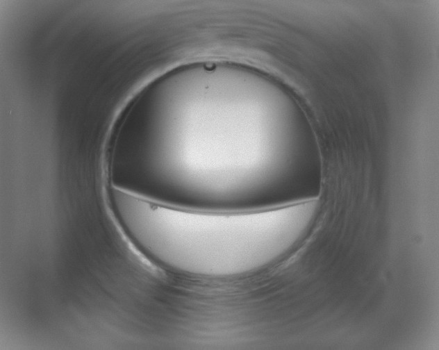 X0000070241517200606020919