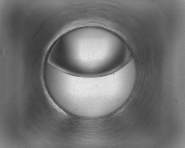 X0000070241518200606020919