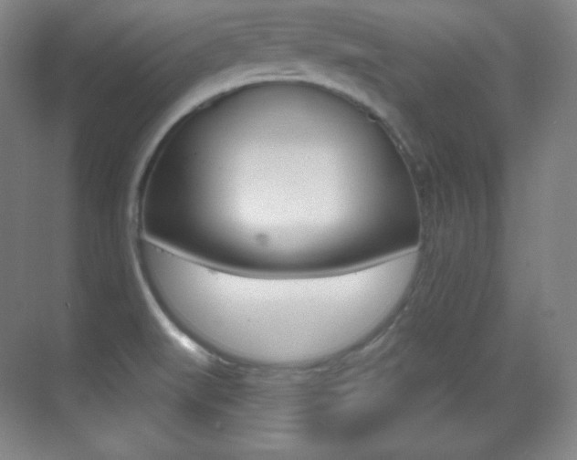 X0000070241519200606020919
