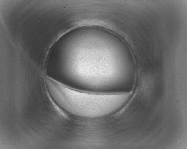 X0000070241521200606020919