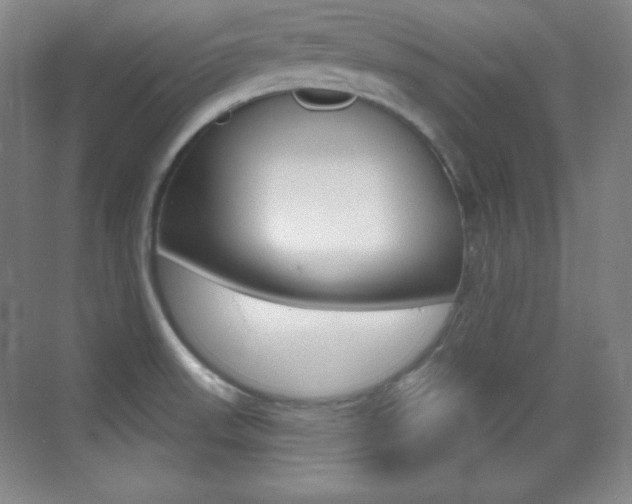 X0000070241523200606020919