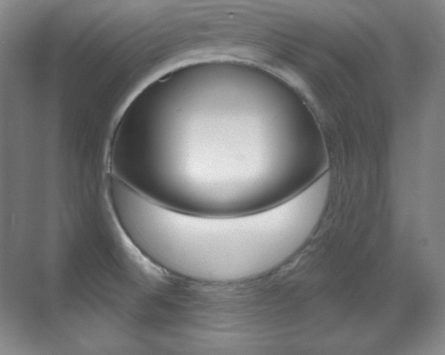 X0000070241524200606020919