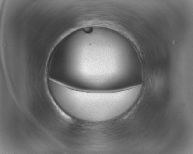 X0000070241525200606020919