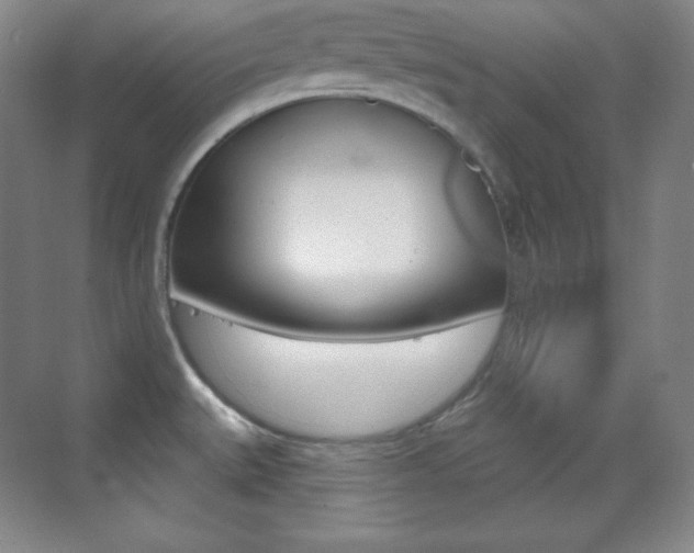 X0000070241527200606020919