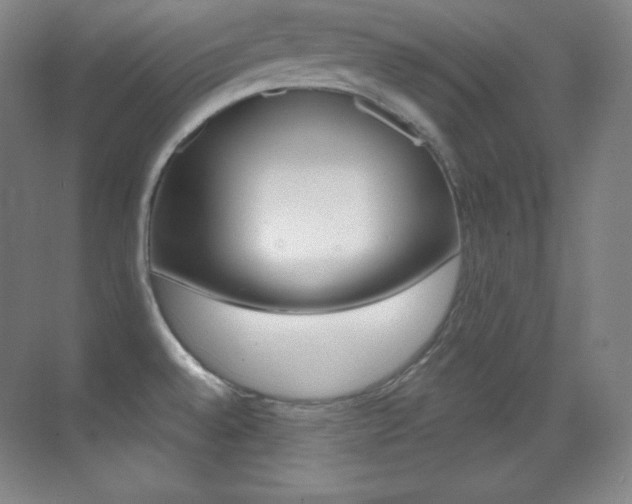 X0000070241528200606020919