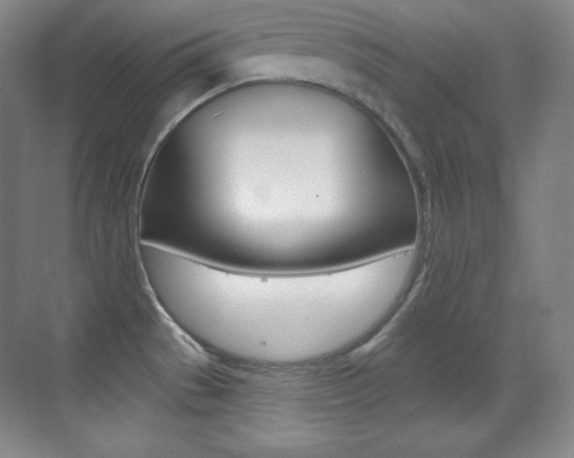 X0000070241529200606020919