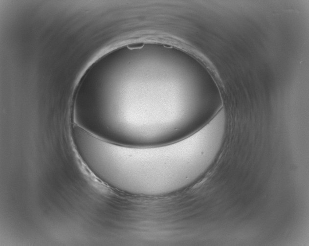 X0000070241530200606020919