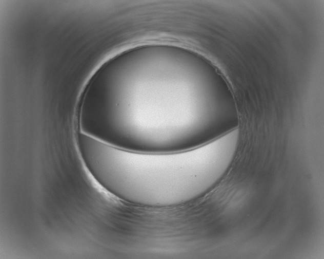 X0000070241531200606020919