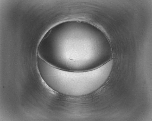 X0000070241532200606020919