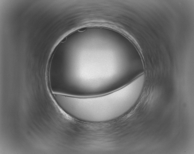 X0000070241533200606020919
