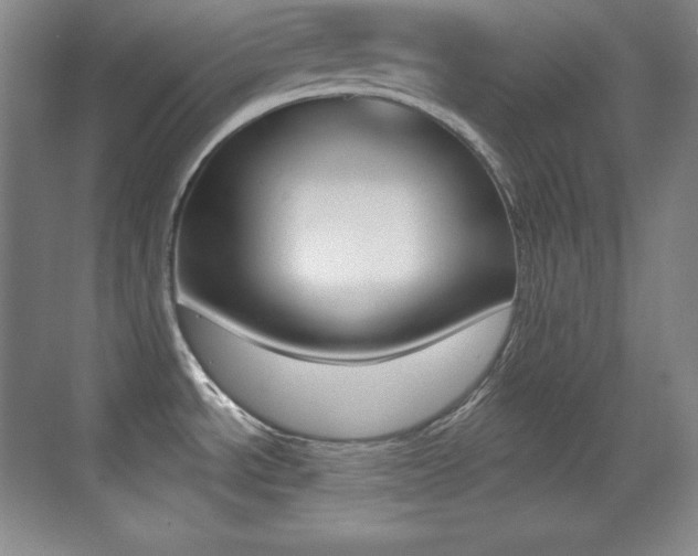 X0000070241534200606020919
