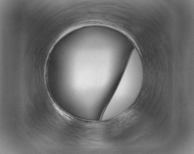 X0000070241535200606020920
