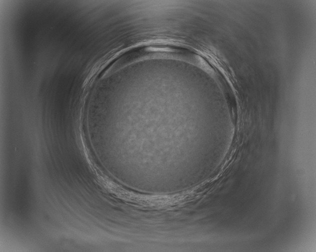 X0000070240001200606021142