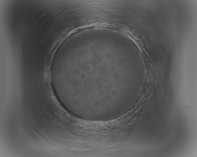 X0000070240002200606021142