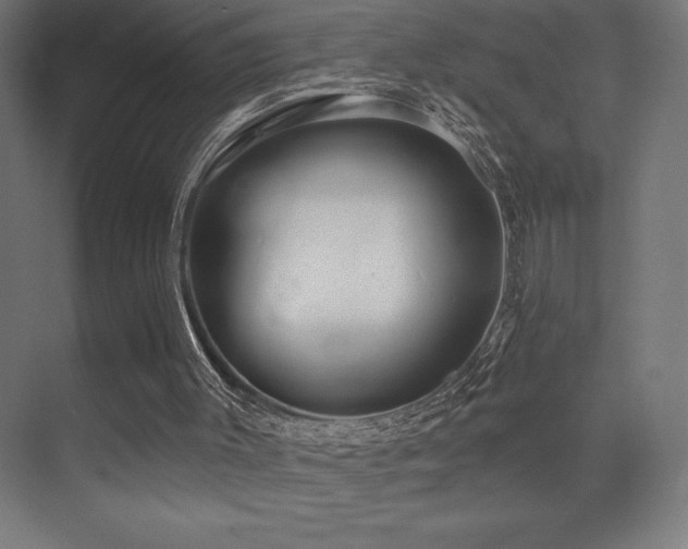 X0000070240003200606021142