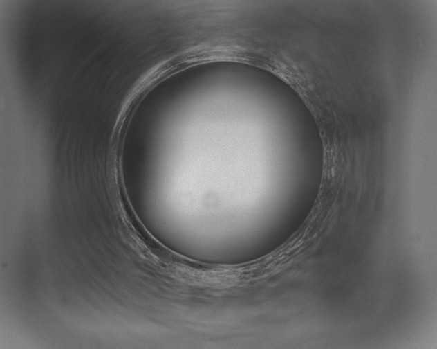 X0000070240004200606021142