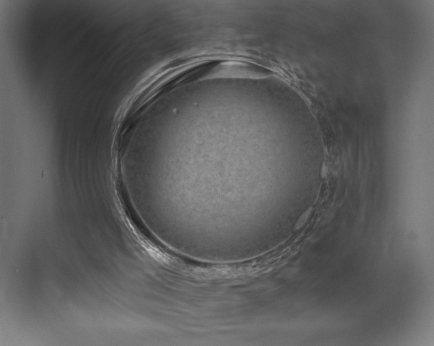 X0000070240005200606021142