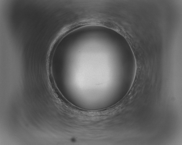 X0000070240006200606021142