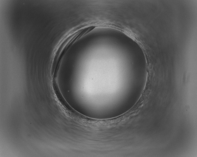 X0000070240007200606021142